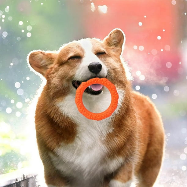 Anillos interactivos de entrenamiento para perros | Juguetes anti-mordiscos para aliviar la tensión | Juego de rompecabezas de plástico resistente a las mordeduras para estimulación mental y a
