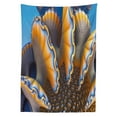 thumbnail image 3 of Ambesonne Nautical Tablecloth Rectangular Table Cover, Shells in Sea Ocean, 52"x70", Blue and Apricot, 3 of 4