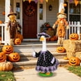 thumbnail image 6 of AuroraX Halloween 23" Porch Goose Clothes Sets 17 inch Autumn , Witch Dress 19 inch Porch Goose Outfits Fall Seasonal Halloween Decorations Outdoor Front Porch Goose Accessories, 6 of 6
