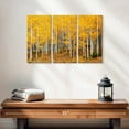 thumbnail image 2 of Elephant Stock Colorado Aspen Forest Wall Art - Horizontal Multi Panel Canvas - 3 Pieceliving Room Wall Decor - Photography Nature Multi Panel - Orange And Brown Decor - 23" x 14", 2 of 4