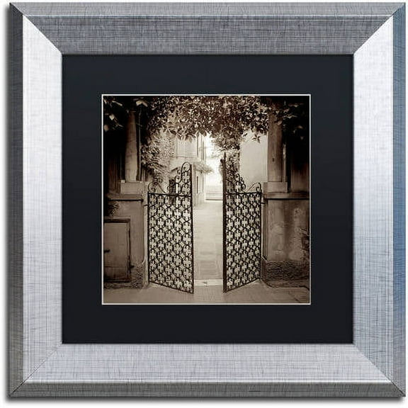 Trademark Fine Art "Venezia V" Canvas Art by Alan Blaustein, Black Matte, Silver Frame
