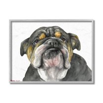 Stupell Industries Chubby Bulldog Portrait Old Dog Charm Black Brown Grey Framed, 11 x 14, Design by George Dyachenko