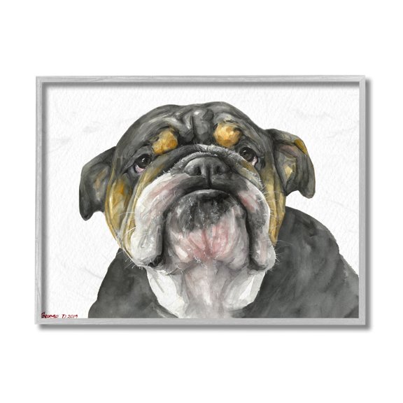Stupell Industries Chubby Bulldog Portrait Old Dog Charm Black Brown Grey Framed, 11 x 14, Design by George Dyachenko