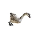 thumbnail image 2 of maskred Miniature Feathered Goose Free Standing for Gift Decoration Gray Collectible, 2 of 6
