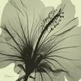 thumbnail image 2 of Koetsier, Albert 15x15 Black Ornate Wood Framed with Double Matting Museum Art Print Titled - Emerald Hibiscus, 2 of 4