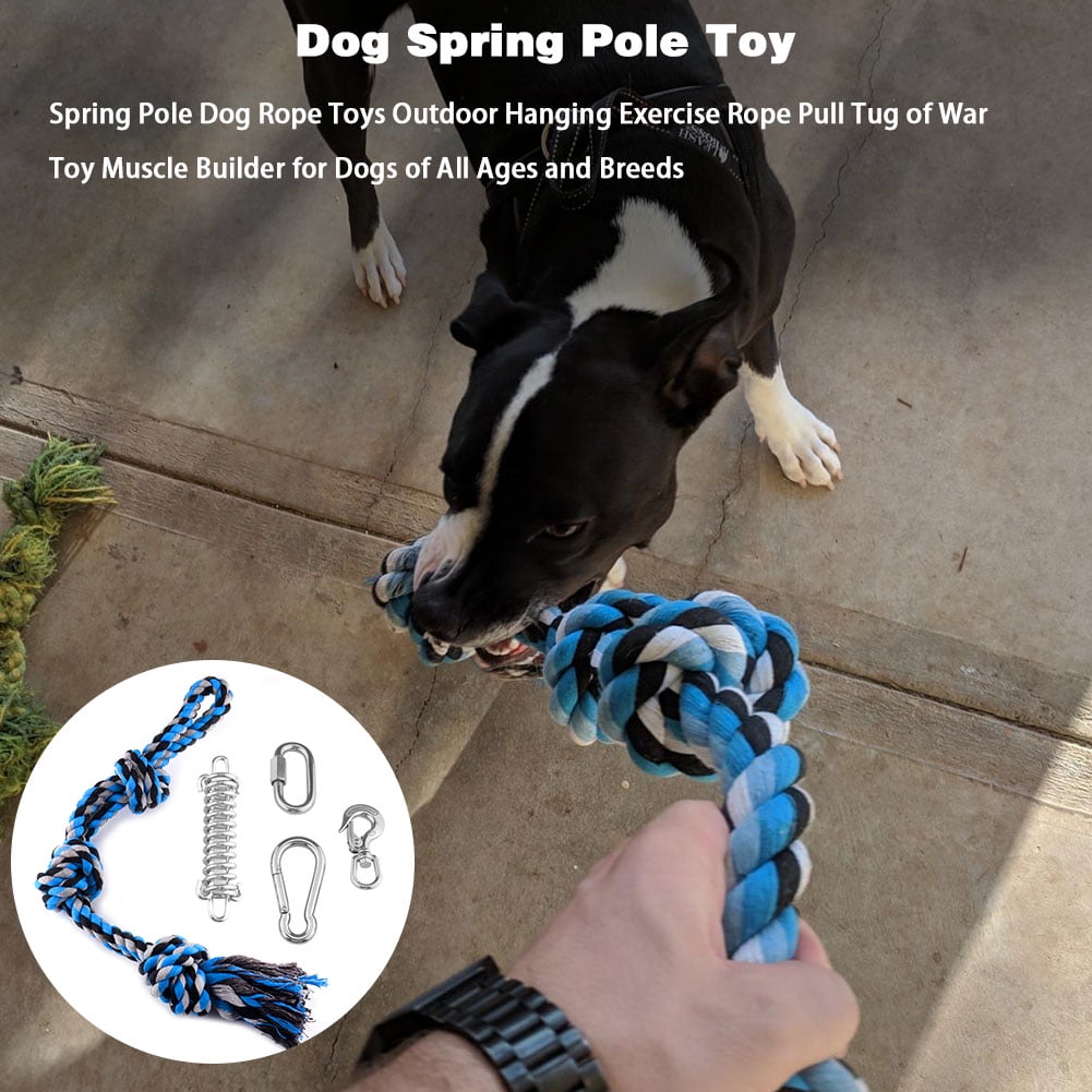 dog hanging rope toy