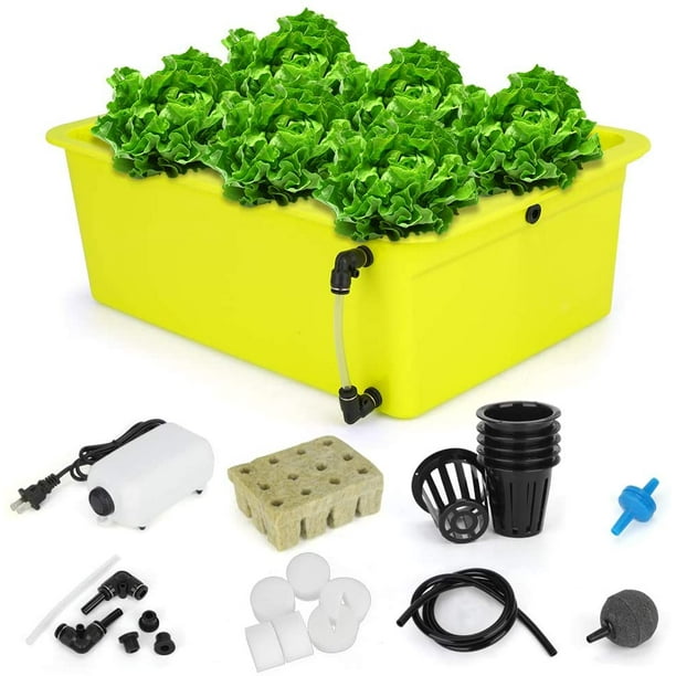 Kit de culture hydroponique 6 sites Kits de culture de système hydroponique  domestique DWC avec pompe à air et outils hydroponiques pour légumes,  fleurs 
