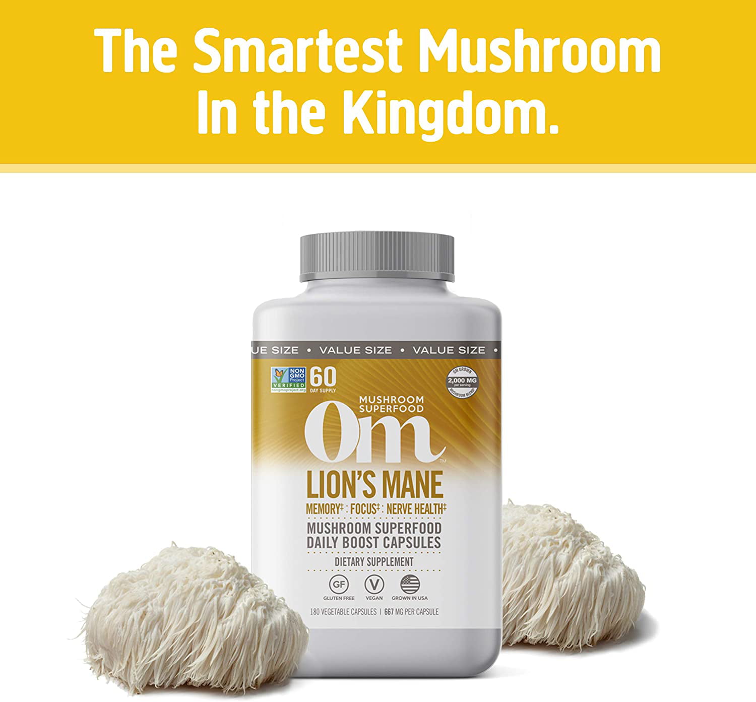 Lion's Mane Mushroom  Essentials - LifeSeasons