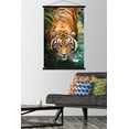 thumbnail image 3 of Tigre - Eau, 3 of 4