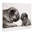 thumbnail image 2 of Stupell Industries Rustic Lodge Pug And Her Puppy Canvas Art, 20 x 16, by George Dyachenko, 2 of 8