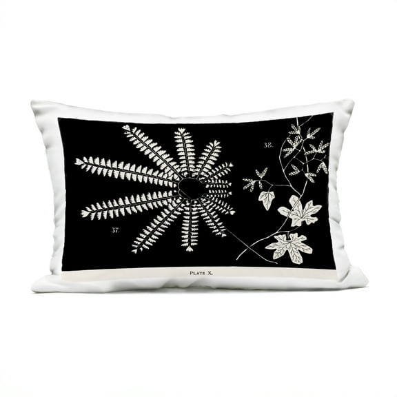 Stupell Industries Ferns & Leaves on Black Design by Phillipa Katz Outdoor Printed Pillow