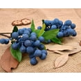 thumbnail image 4 of Yirtree Artificial Berries, 4 Pcs Simulation Flowers Lifelike Blueberry with Stems Fake Fruit Blueberries for Wedding DIY Bridal Bouquet Home Kitchen Party Decoration, 4 of 8