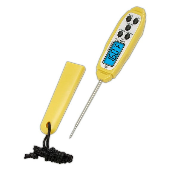 Taylor Thermometers 9848EFDA Digital Thermometer, Long-Stem, Dual-Scale By Taylor Precision Products