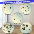 thumbnail image 2 of Air Mold Test Kit - Evviva Sciences - 5 Simple Mold Detection Tests - Optional Lab Analysis - Test HVAC System, Room Air, & Home Surfaces - Includes Detailed Mold ID Guide, 2 of 5