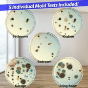 Air Mold Test Kit - Evviva Sciences - 5 Simple Mold Detection Tests - Optional Lab Analysis - Test HVAC System, Room Air, Home Surfaces - Includes Detailed Mold ID Guide