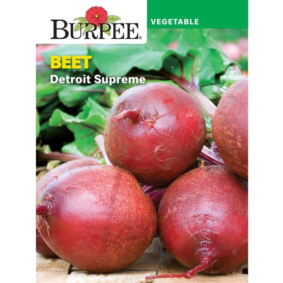 Burpee Beet Detroit Supreme Pack - Heirloom Plant Seeds for All Zones