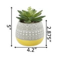 thumbnail image 2 of Flora Bunda Artificial Succulent in Two Tone Yellow Ceramic Pot, 2 of 5