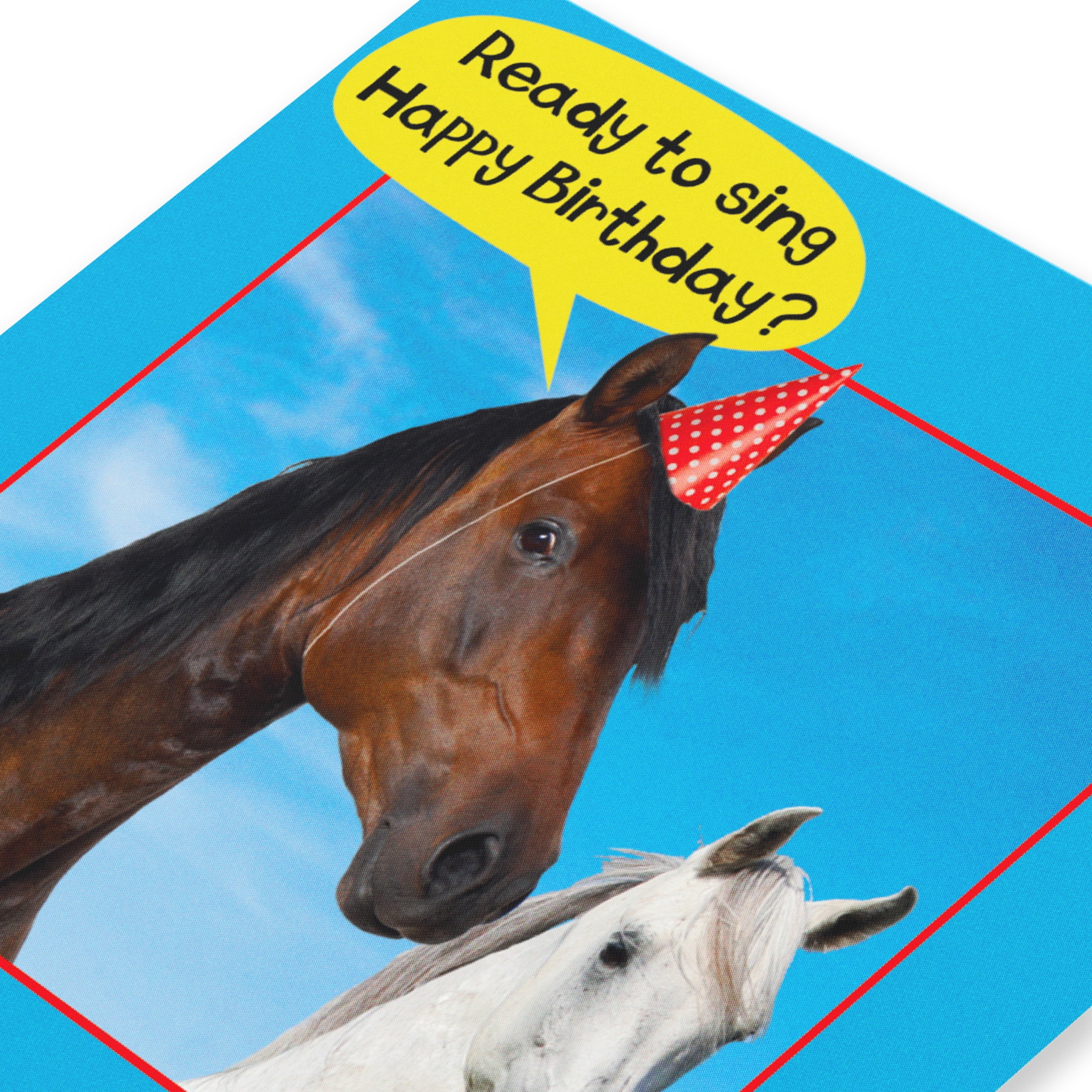 American Greetings Funny Birthday Card for Anyone (Singing Horses)
