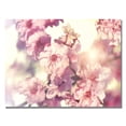 thumbnail image 2 of Beata Czyzowska 'Spring Melody' Canvas Art, 2 of 3