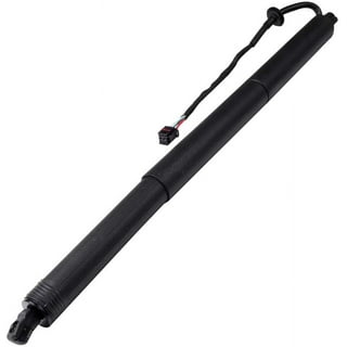 The 10 Best Tailgate Shock Lift Supports of 2024 (Reviews) - FindThisBest