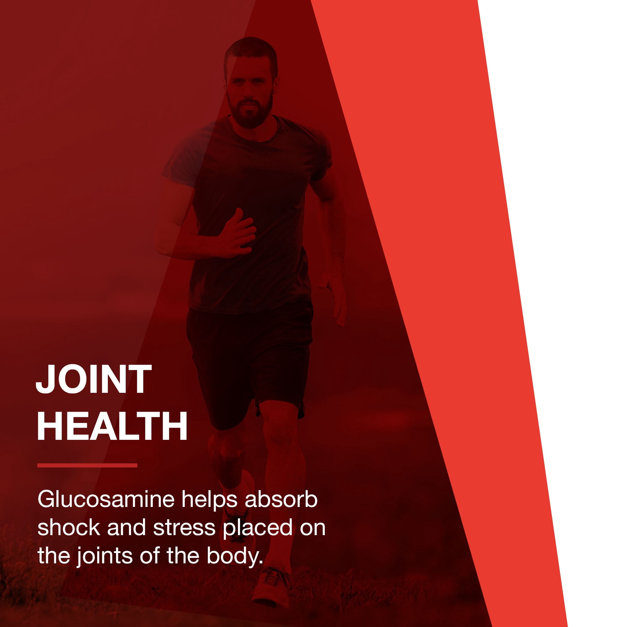Protocol For Life Balance - Glucosamine and Chondroitin with MSM - 90 Capsules