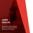 thumbnail image 3 of Protocol For Life Balance - Glucosamine and Chondroitin with MSM - 90 Capsules, 3 of 8