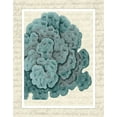 thumbnail image 2 of Fab Funky 15x18 Black Ornate Wood Framed with Double Matting Museum Art Print Titled - Blue Corals On VIntage Script e, 2 of 4