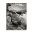 thumbnail image 2 of Gango Home Decor Flowing Waters VI by Vitaly Geyman (Printed on Paper); One 18x24in Fine Art Paper Giclee Print, 2 of 4