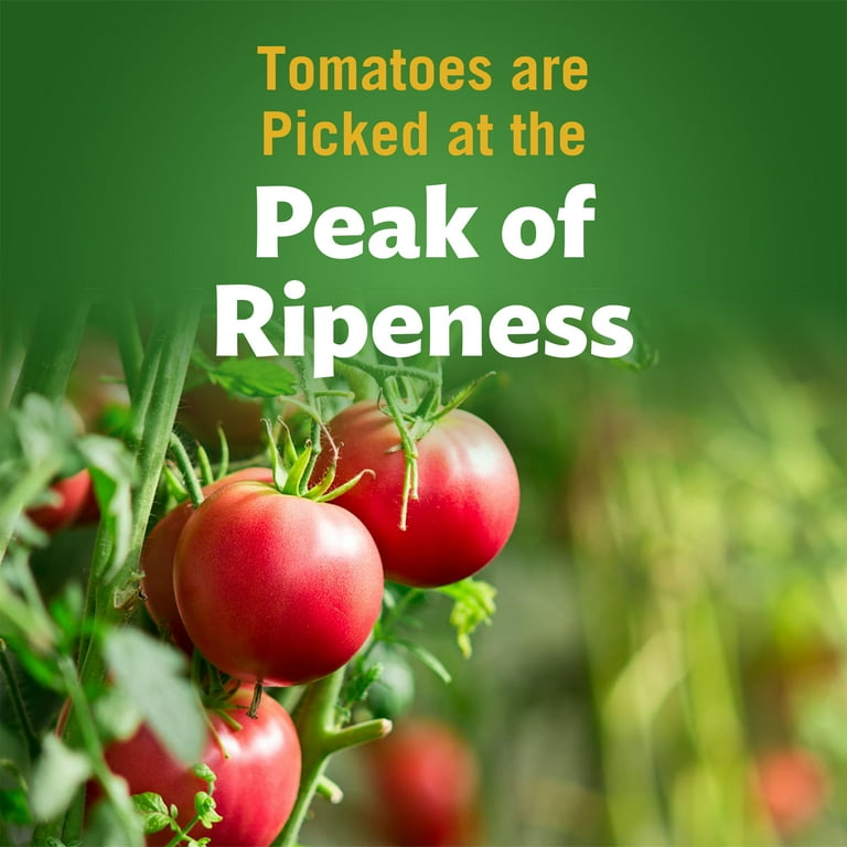 Del Monte Tomato Paste 6oz Cans - Pack Of 24, Non-GMO Vine Ripened Tomatoes