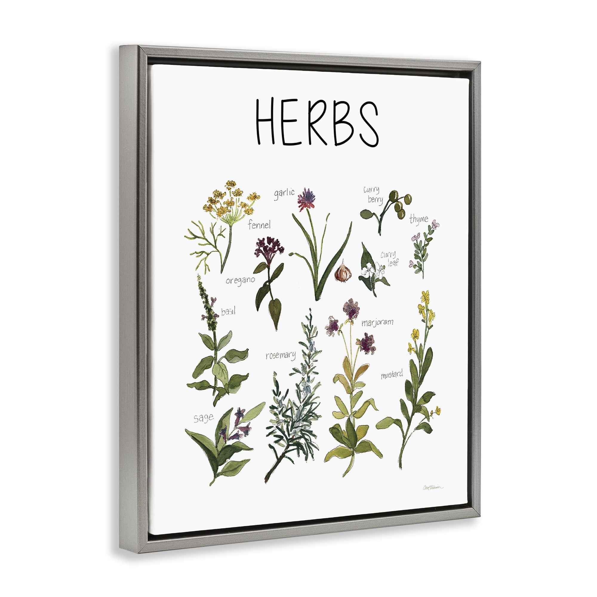 Stupell Industries Herbs Identification Chart Gray Framed Floater Canvas Wall Art, design by Carol Robinson