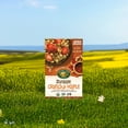 thumbnail image 2 of Nature's Path Organic Crunchy Sunrise Maple Cold Cereal 10oz Box, 2 of 5