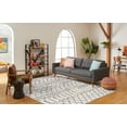 thumbnail image 3 of SAFAVIEH Tulum Selena Oriental Area Rug, Ivory/Grey, 8' x 10', 3 of 8