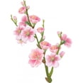 thumbnail image 2 of Flowering Branch Sakura Wall Mural Decal Sticker, Wallmonkeys Peel & Stick Vinyl Graphic (48 in H x 36 in W), 2 of 4