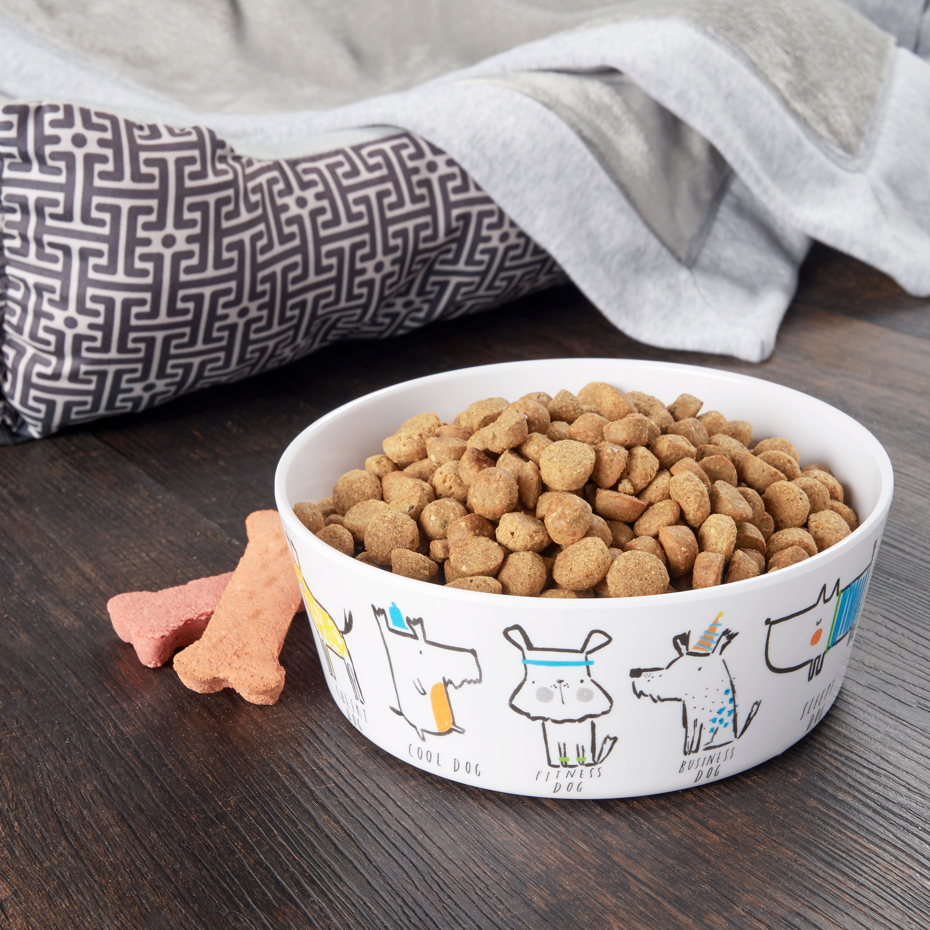 Vibrant Life Plastic Pet Bowl, Dog Characters, Medium