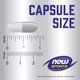 thumbnail image 5 of Beta-alanina Supplement NOW Sports Nutrition 750 mg 120 cápsulas, 5 of 8