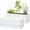 White, variant on 12 Inch Window Box Planter, Rectangle Plastic Herb Planter with Drainage Holes and Saucer, Indoor Succulent Cactus Vegetable Pot for Windowsill, Garden Balcony, Clear, Set of 2, 76-X-D-2