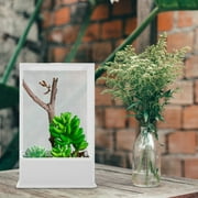 HEMOTON Reptiles Holder Feeding Jumping Spider Enclosure Pet Breeding Cage White