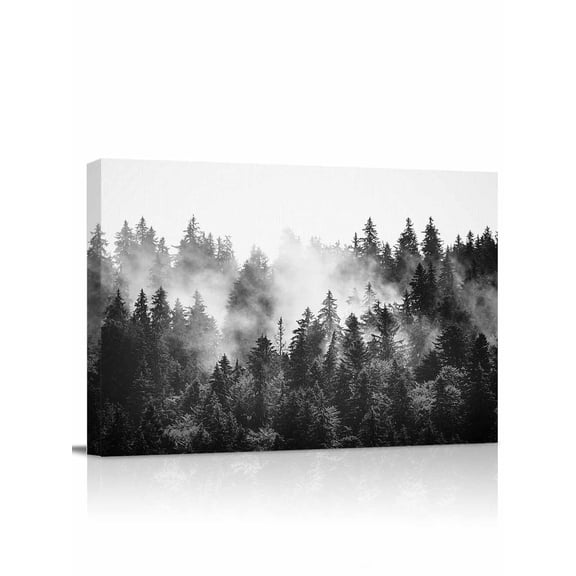 Black Forest Wall Art for Living Room,Canvas Picture Wall Decor for Bathroom Bedroom,Black and White Natural Landscape Modern Abstract Art Painting Artwork for Office Hallway Dining Room 24"x32"