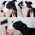 thumbnail image 4 of Coat King Brush Perros Y Gatos, Peine De Aseo Para Mascotas Rastrillo Desenredante Reduce Dramáticamente La Pérdida De Cabello, 4 of 5