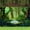 Leafy, variant on Backdrop 5x3ft Fabric, Green Background Vacation Bible School Decorations Christian Religious for Church Sunday School Classroom Photo Booth Props