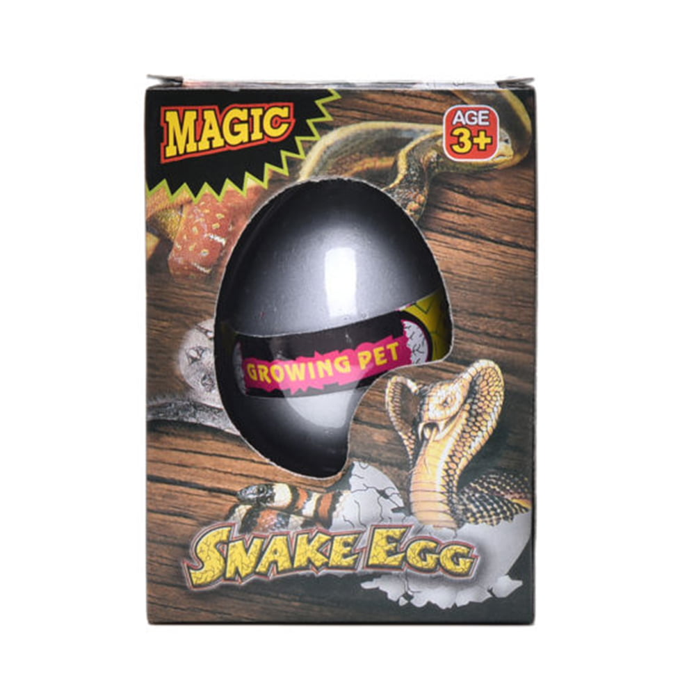 12 Pcs Growing Pet Egg Snake Hatch Toy Hatching Animal Magic Hatchem Display Box 