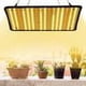 thumbnail image 5 of Lámpara de 256 LED para plantas, luz solar, lámpara de crecimiento de plantas de interior, luces para plantas de invernadero, 5 of 6