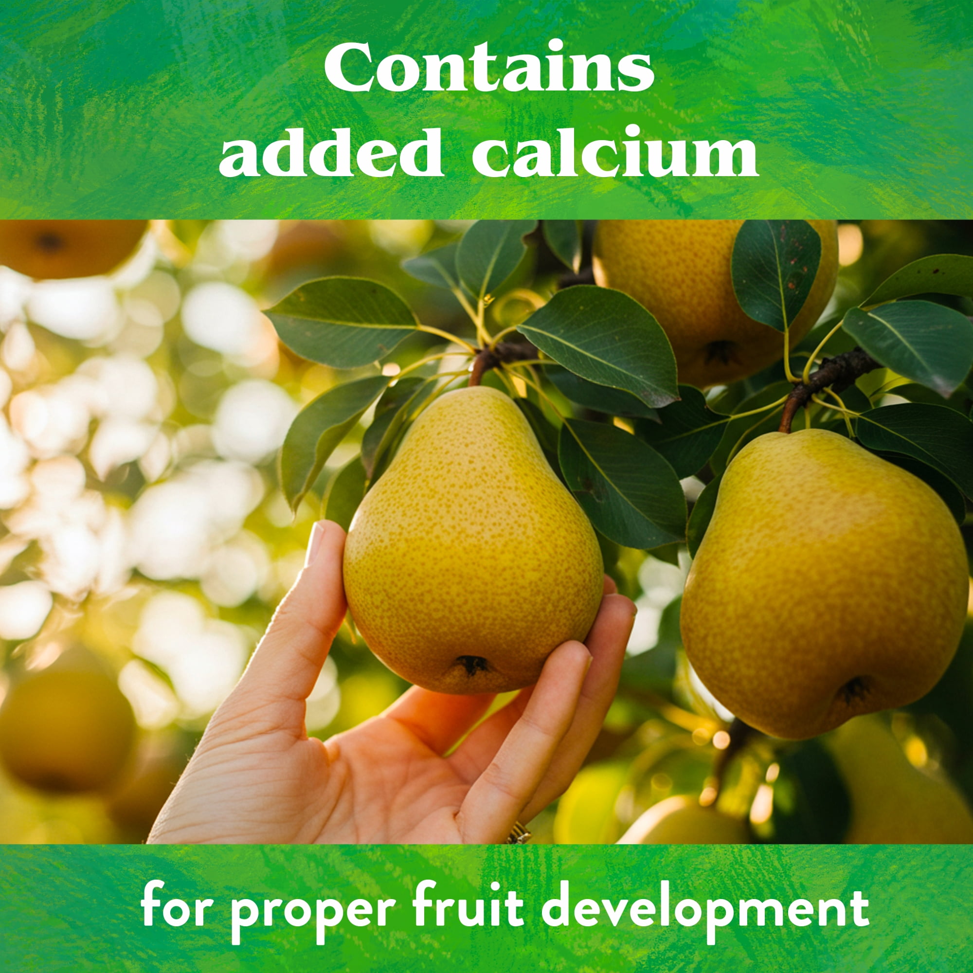 Down To Earth Fruit Tree Natural Fertilizer 6-2-4 OMRI 5lb