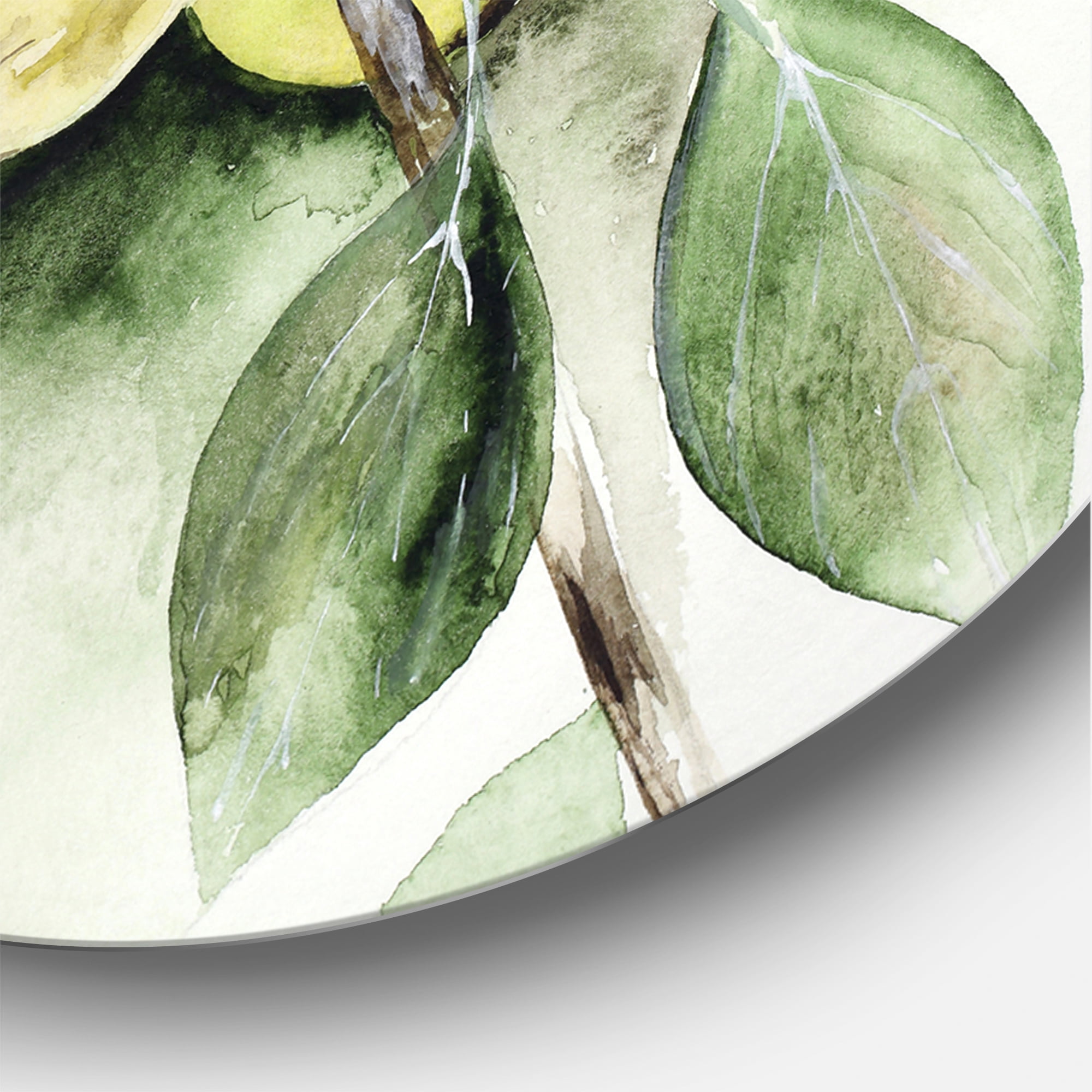 Designart 'Ancient Green Appels' Farmhouse Circle Metal Wall Art 29x29 - Disc of 29