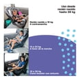 thumbnail image 3 of Autoasiento Convertible Cosco Kids Easy Elite All-in-One gris, 3 of 11