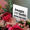 thumbnail image 3 of 3drose, Beagle Butts Drive Me Nuts, 12 Greeting Cards with Envelopes, 3 of 7