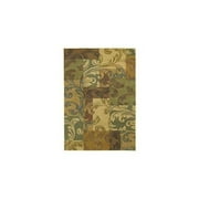 Shaw Rugs Transitions Giselle Light Multi Rug