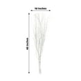 thumbnail image 3 of Efavormart 6 Pack White Decorative Birch Tree Branches, Extra Long Natural Dried Willow Twigs Sticks Vase Fillers - 46", 3 of 5