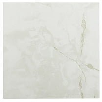 Roman Palace Collection 20 Pack of 12" x 12" Self Adhesive High Gloss (No Wax) Finish 1.2mm Thick Vinyl Tiles - Classi
