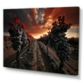 thumbnail image 2 of Designart "France Bordeaux Vineyard Euphony I" Vineyard Canvas Wall Art, 2 of 5